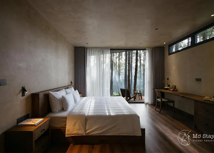 Mo Stay - Forest Resort Đà Lạt