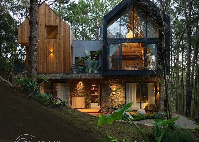 Mo Stay - Forest Resort Đà Lạt